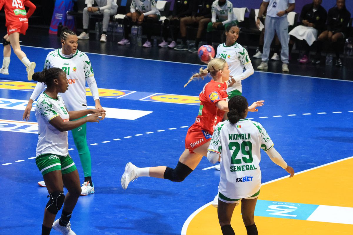 Imagine de la meciul Danemarca - Senegal