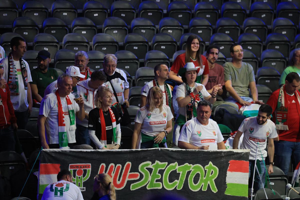 Fanii la meciul Ungaria - România de la CM 2025