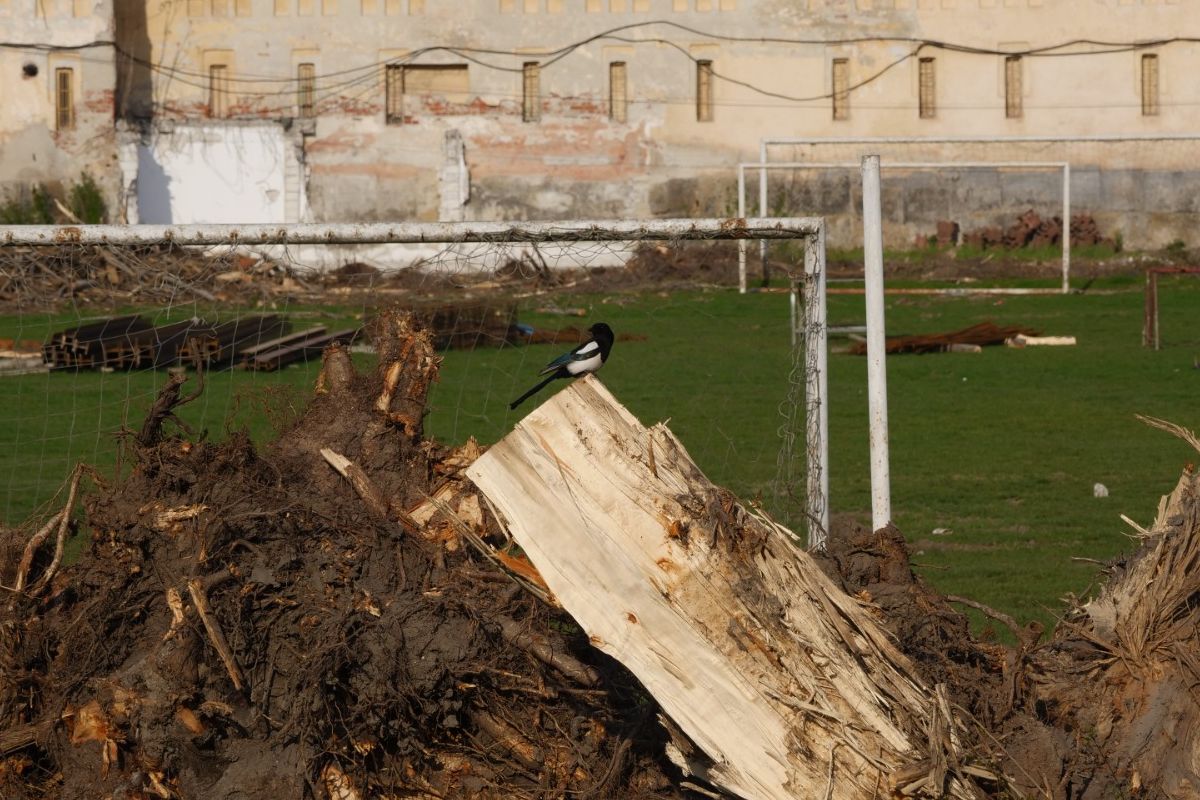 Complex de lux pe locul fostului stadion legendar al României: investiție de peste 45 de milioane de euro! Imagini în premieră