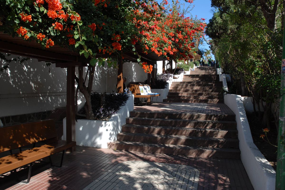 Chipciu a mers într-o vacanță de lux, dar a rămas dezamăgit: „Nu știam exact unde e. N-aș pune-o în topul destinațiilor”