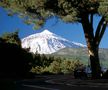 Tenerife