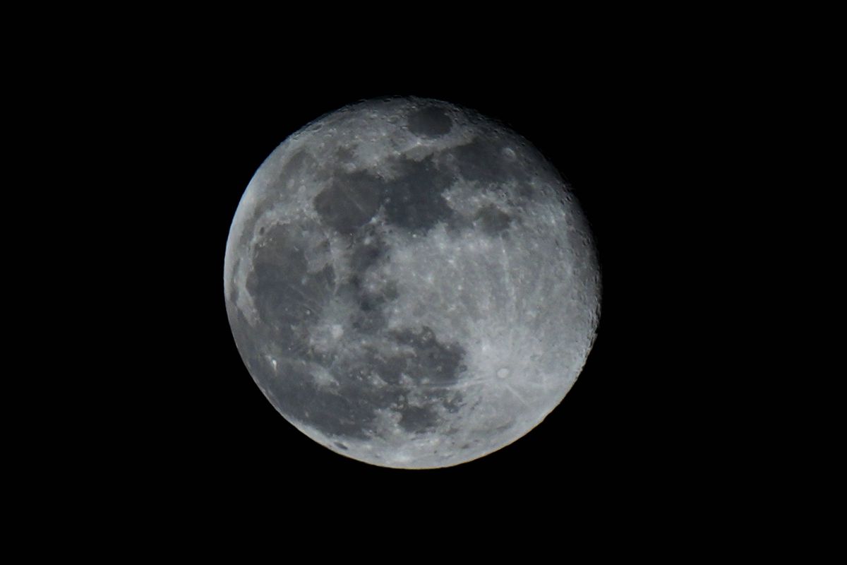 Imagini de la meciul Inter - Bologna // foto: Imago