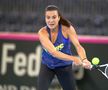 FED CUP // S-au tras la sorți meciurile duelului România - Rusia din Fed Cup » O debutantă joacă în primul meci