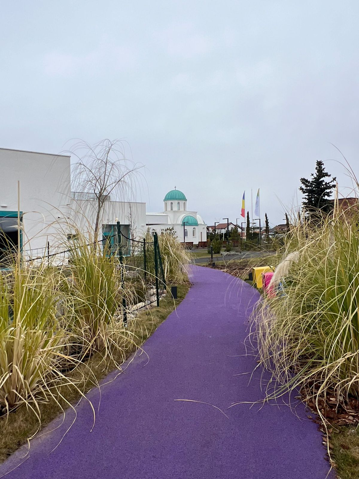 Cum arată centrul de recuperare construit de Mihai Neșu lângă Oradea: „Cel mai frumos din sud-estul Europei!” » Donații și sponsorizări de aproape 6 milioane de euro