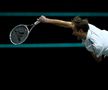 Medvedev - Lajovic, ATP Rotterdam / FOTO: GettyImages