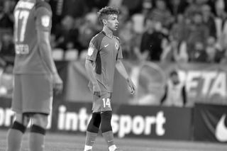 Cauza morții subite a lui Luca Manolache » Rezultatul autopsiei