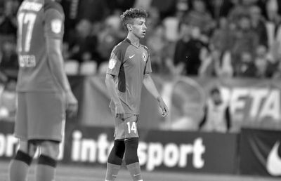 Cauza morții subite a lui Luca Manolache » Rezultatul autopsiei