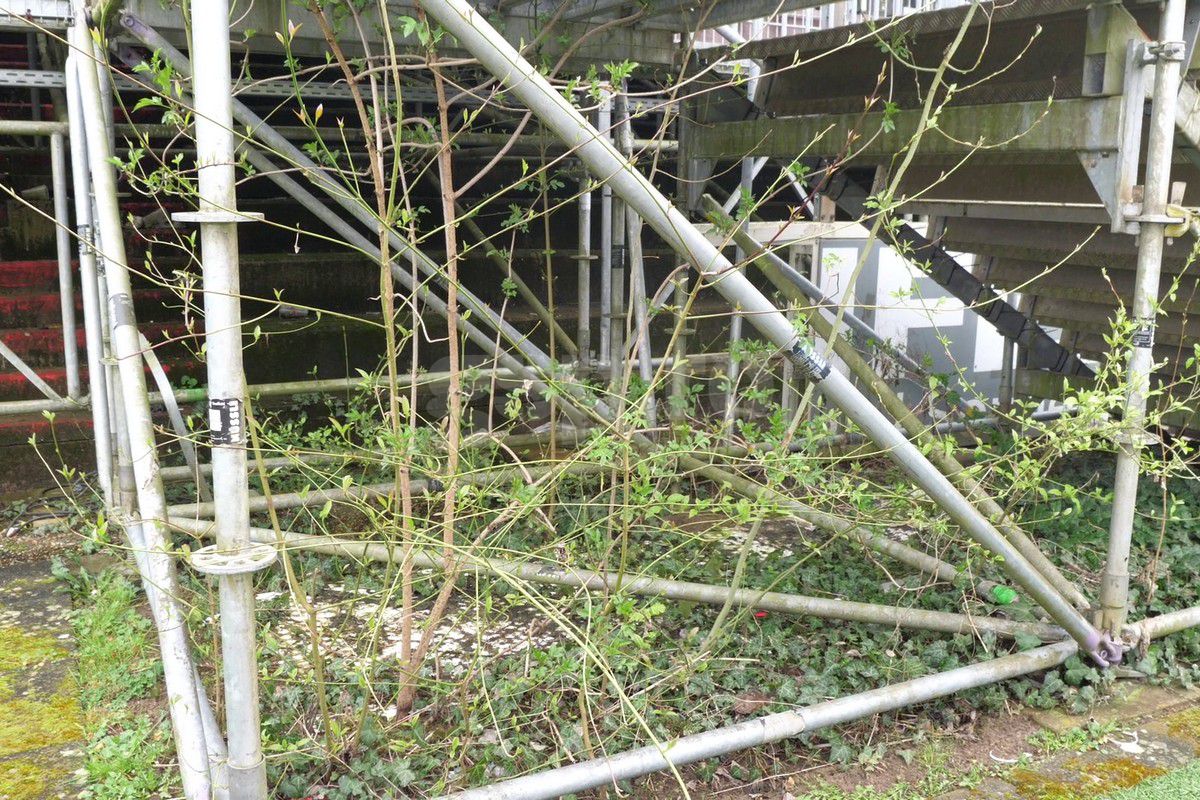 EXCLUSIV. Baza Akon Arena Würzburg