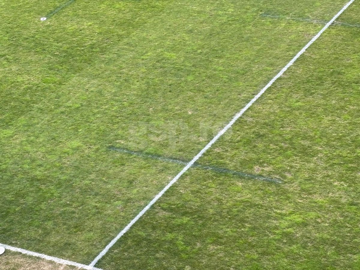 Ce a evitat Dinamo: incredibil cum arată acum gazonul pe „Arcul de Triumf”