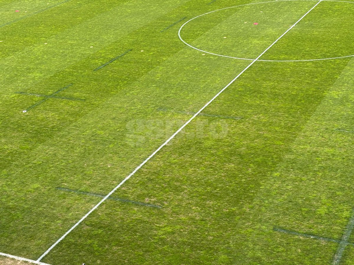 Gazonul Arcul de Triumf 4 aprilie 2025