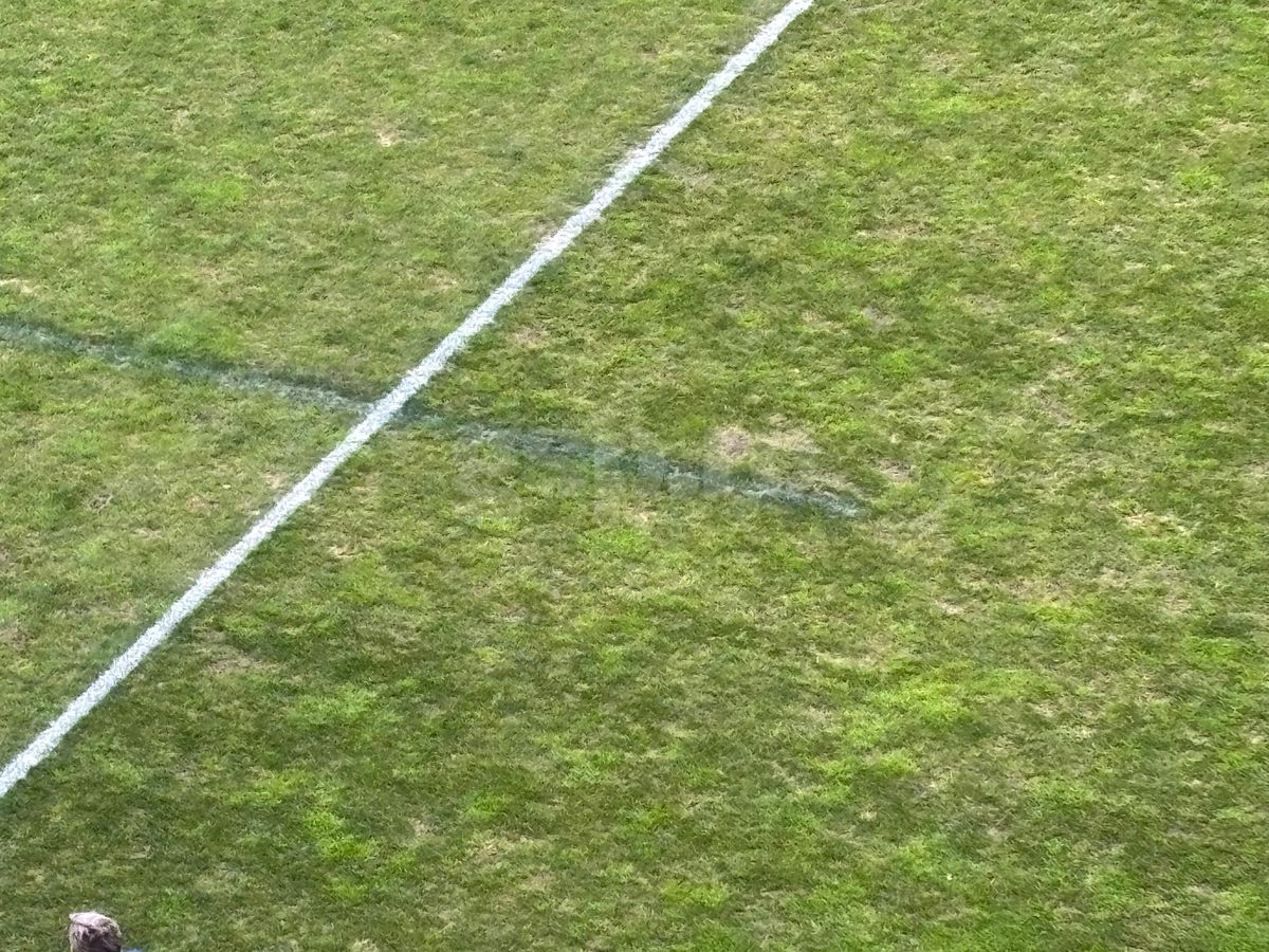 Ce a evitat Dinamo: incredibil cum arată acum gazonul pe „Arcul de Triumf”