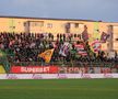 Scandarea care i-a unit pe fani la meciul FC Argeș - Dinamo