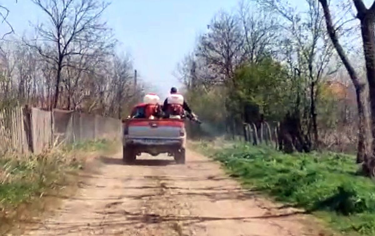 Comuna din România în care angajații au dezinfectat tufișurile de la periferie » Explicația primarului