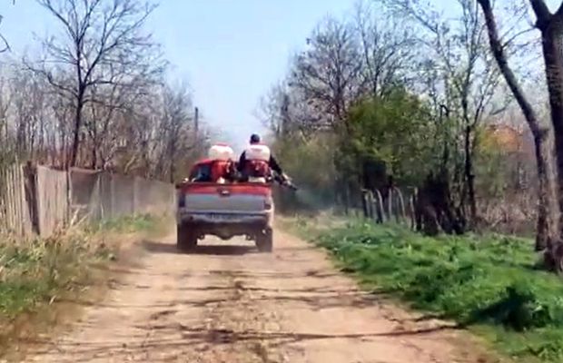 Comuna din România în care angajații au dezinfectat tufișurile de la periferie » Explicația primarului