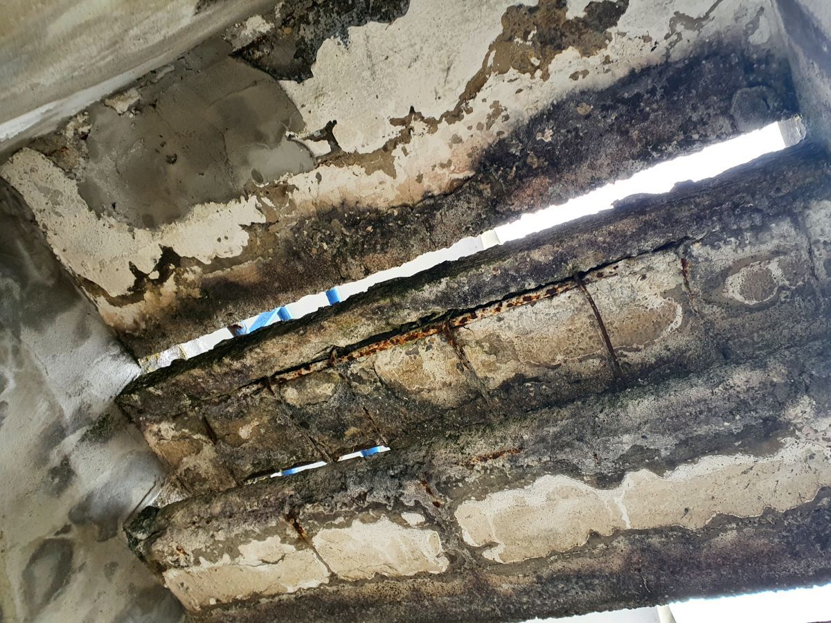 Un stadion emblematic din România a ajuns în paragină! Proiect pentru o arenă nouă + fanii strâng bani pentru brandul legendar