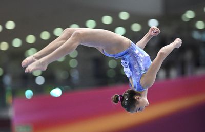 Federația Română de Gimnastică, explicații și atacuri