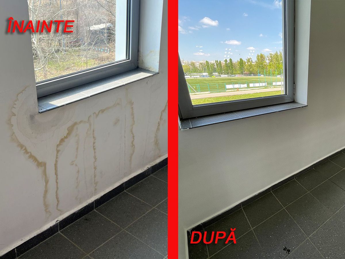 Ce schimbări au apărut la bazinul Steaua