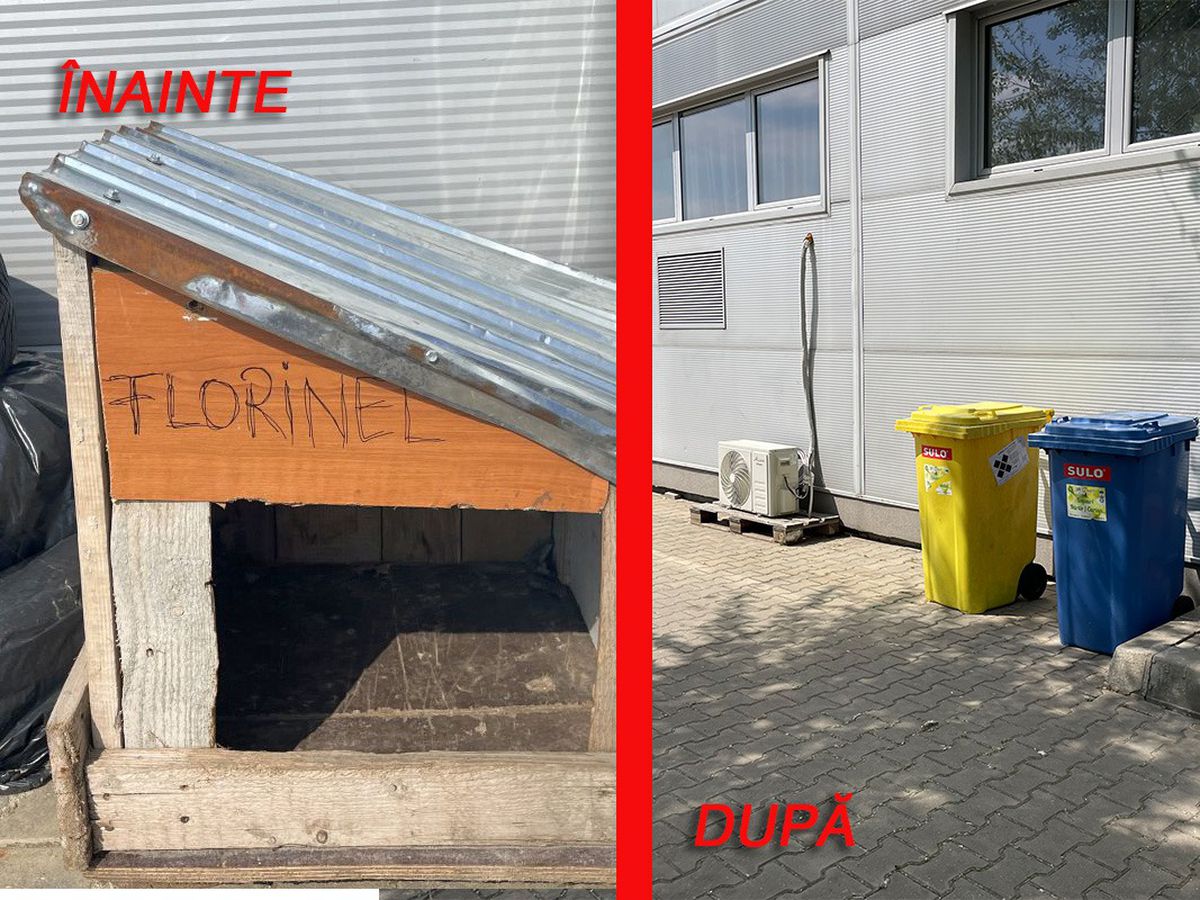 Ce schimbări au apărut la bazinul Steaua