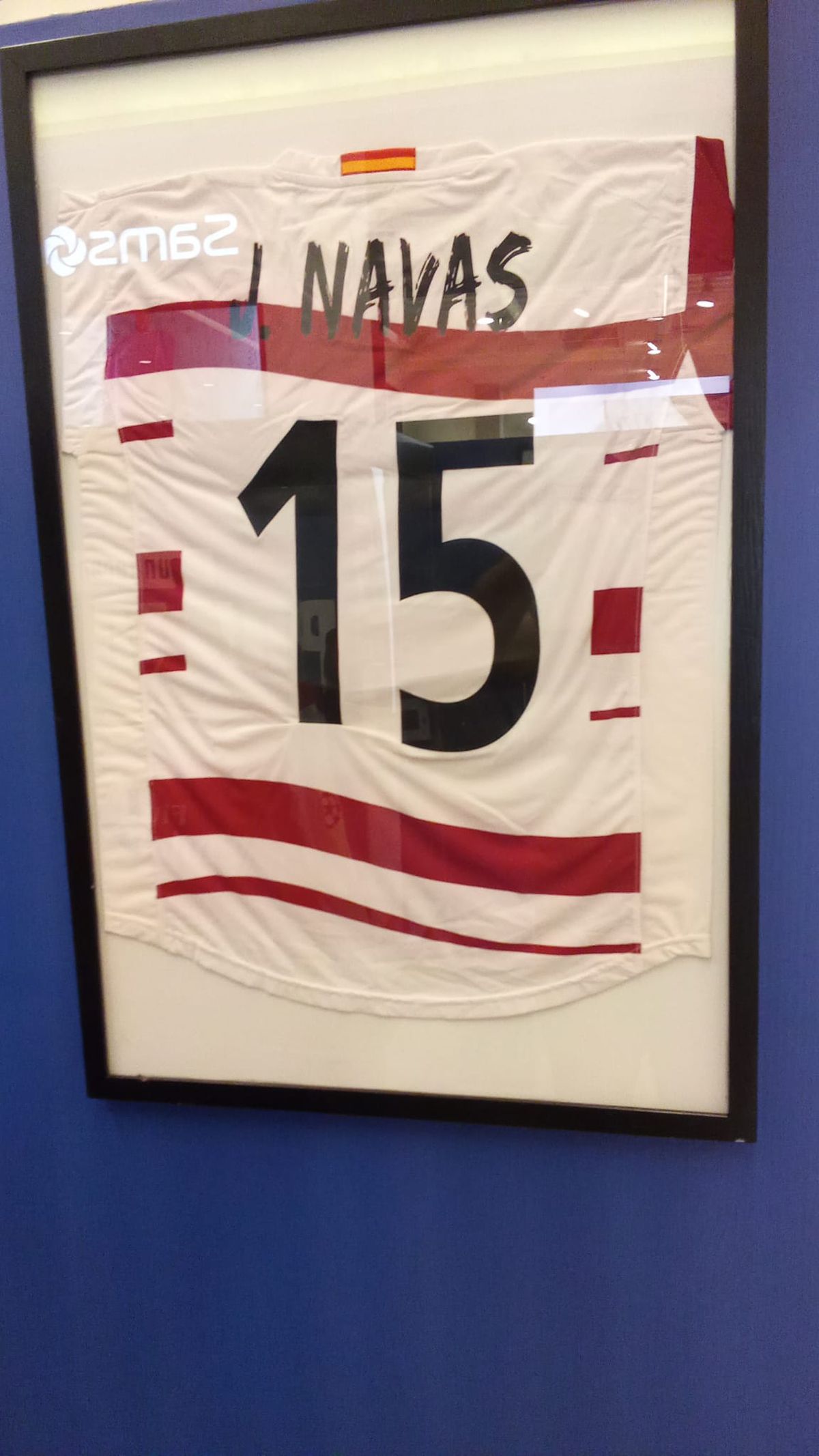 Tricouri celebre meci retragere Goian Suceava