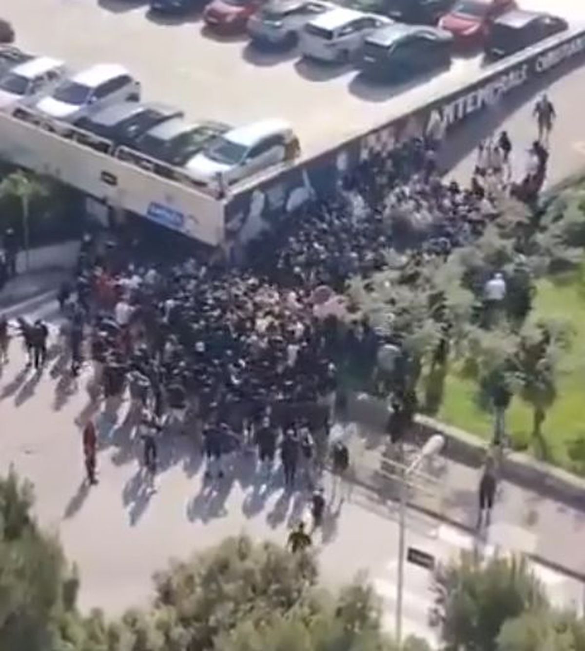 Bătaie în toată regula înainte de derby » 160 de suporteri au fost arestați, mai mulți polițiști răniți