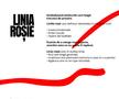 Noua siglă a lui Dinamo