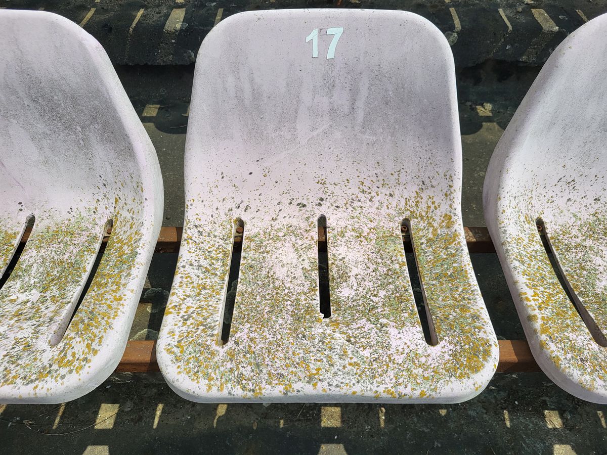 Imaginile rușinii! Așa a ajuns al 2-lea cel mai mare stadion din România