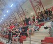 Fanii „câinilor” urmăresc FC Argeș - Dinamo în sala din Ștefan cel Mare