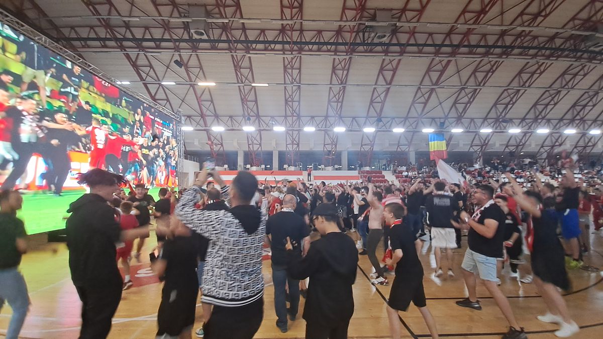 Fanii „câinilor” urmăresc FC Argeș - Dinamo în sala din Ștefan cel Mare