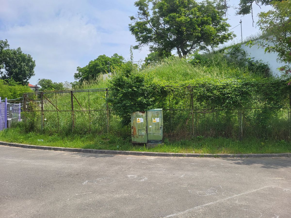 Stadionul „Dan Păltinișanu”, un monument al degradării