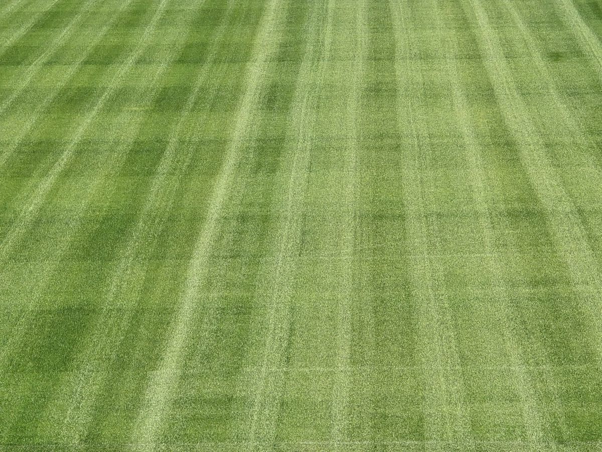 Gazeta a intrat pe „Ernst Happel” din Viena: primele imagini de la stadionul care va găzdui Austria - România
