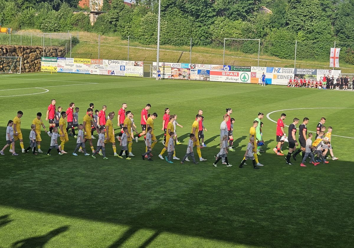 „Va trebui să iau decizii, veștile nu sunt bune!” » Iritat, Daniel Pancu a izbucnit: „Și eu am pierdut un turneu final!”. Cîrjan, OUT!