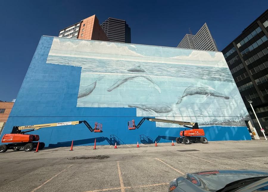 I-au șters pictura murală în pregătirile pentru Mondial! Proces de 25 milioane de dolari
