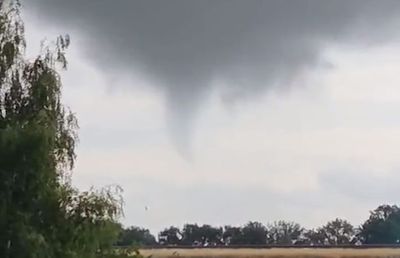 Furtună în cantonamentul FCSB » Copaci smulși din pământ, acoperișuri distruse, mașini luate pe sus de apă