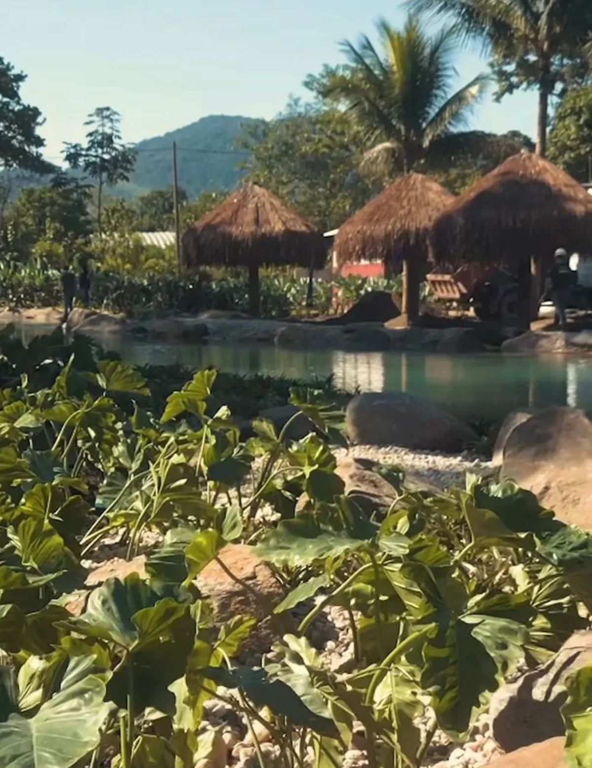 Neymar, amendat cu 3,3 milioane $! Ce a făcut atacantul brazilianul și de ce a fost sancționat în țara lui