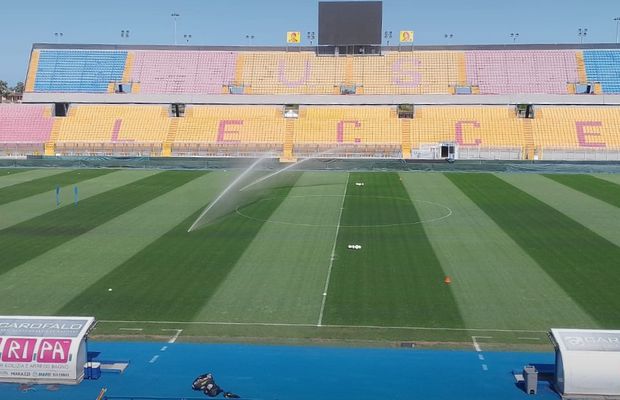 Ce semințe profesionale de gazon să alegi pentru terenurile de fotbal?