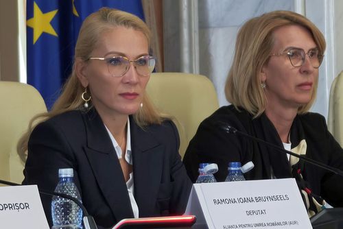 Sesizare la CCR după noile modificări aduse Legii Sportului: „Profund nociv, făcut pentru «prieteni»!”