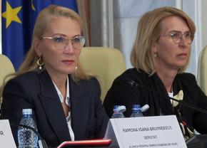 Sesizare la CCR după noile modificări aduse Legii Sportului: „Profund nociv, făcut pentru «prieteni»!”