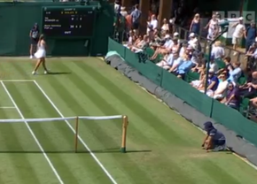 Descalificare la Wimbledon! Adversara unei românce a cedat nervos și și-a trântit racheta
