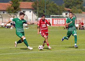 FC Botoșani a ținut-o în șah pe Ludogorets!