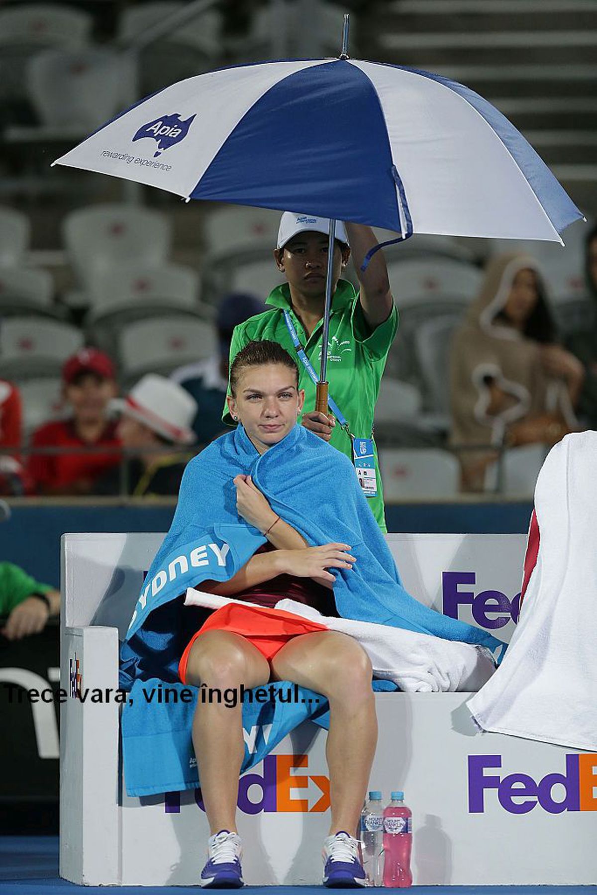 Haz de necaz în așeptarea verdictului pentru Simona Halep