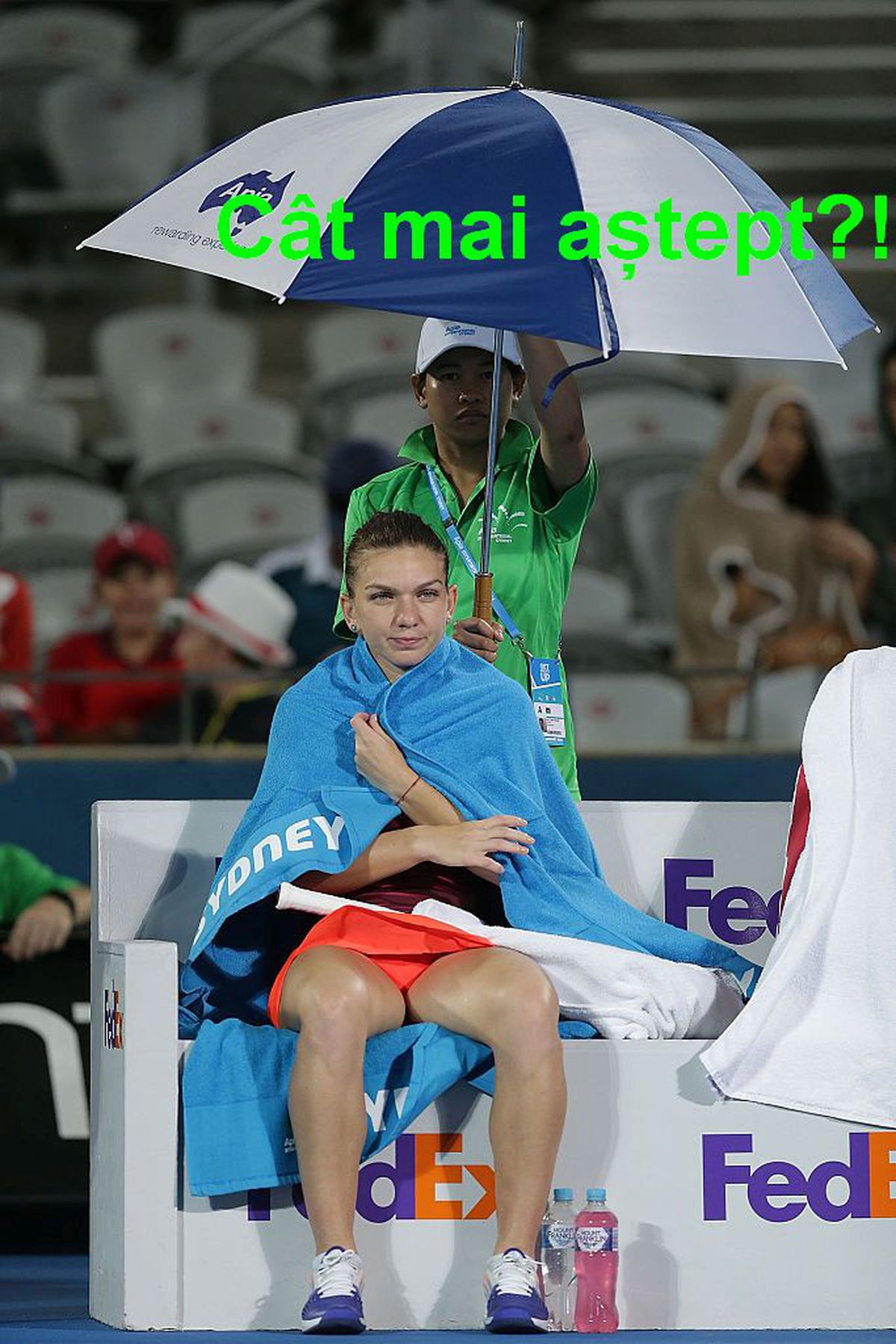 Situația Simonei Halep, sursa celor mai tari memeuri de pe internet » Fanii tenisului fac haz de necaz