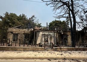 Apelul disperat al unui baschetbalist a cărui casă a fost distrusă de incendiile din Cipru: „Durerea este sufocantă”