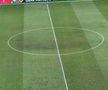 ROMÂNIA - IRLANDA DE NORD 1-1. Naționala lui Rădoi a debutat pe un gazon deplorabil! Cum a arătat terenul de pe „Arena Națională”