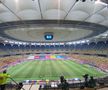 ROMÂNIA - IRLANDA DE NORD 1-1. Naționala lui Rădoi a debutat pe un gazon deplorabil! Cum a arătat terenul de pe „Arena Națională”