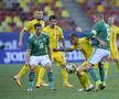 România - Irlanda de Nord 1-1. Unde a greșit Mirel Rădoi? Ilie Dumitrescu: „A fost o problemă acolo”