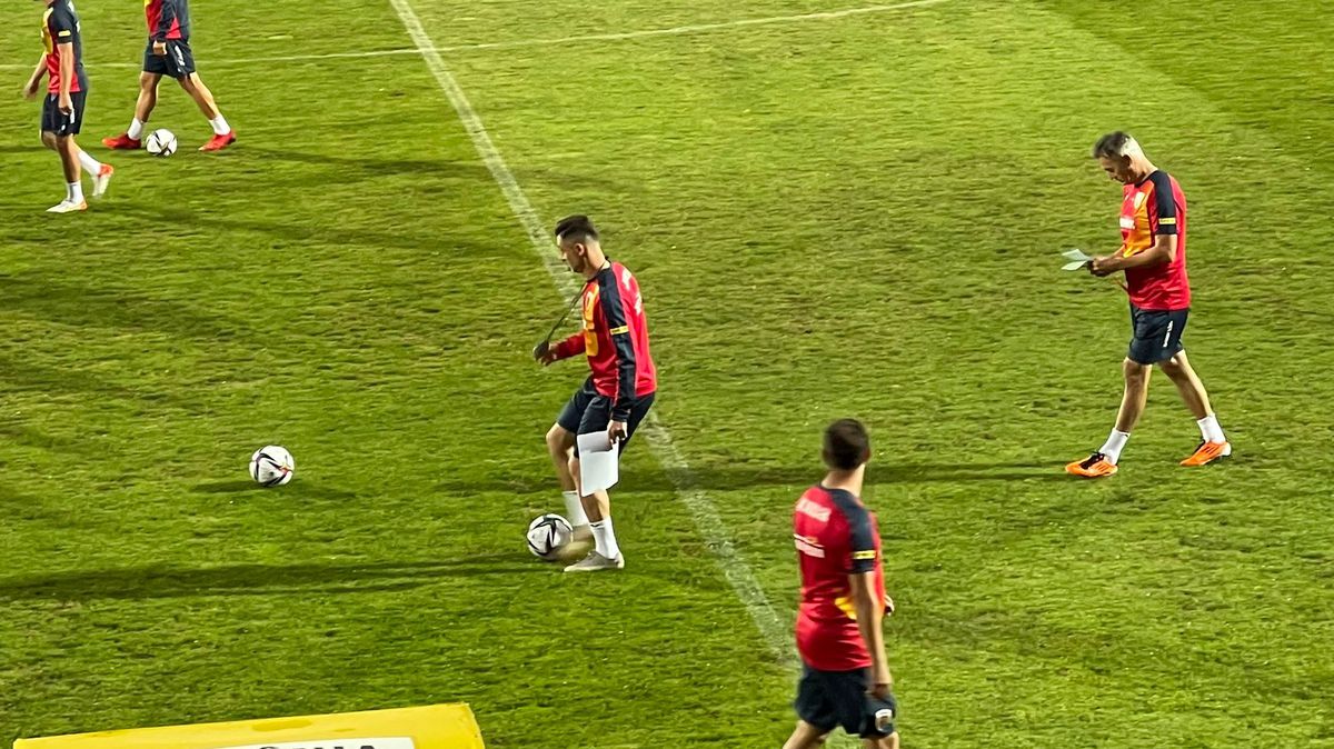 Cum pregătește Rădoi meciul cu Liechtenstein » Imagini de la antrenamentul oficial