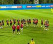 Cum pregătește Rădoi meciul cu Liechtenstein » Imagini de la antrenamentul oficial