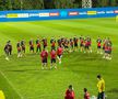 Cum pregătește Rădoi meciul cu Liechtenstein » Imagini de la antrenamentul oficial