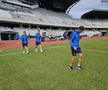 FOTO Gazonul de pe Cluj Arena înainte de reluarea meciului U Cluj - Poli Iași