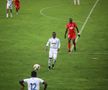 FC Botoșani - Hermannstadt // FOTO: Ionuț Tabultoc